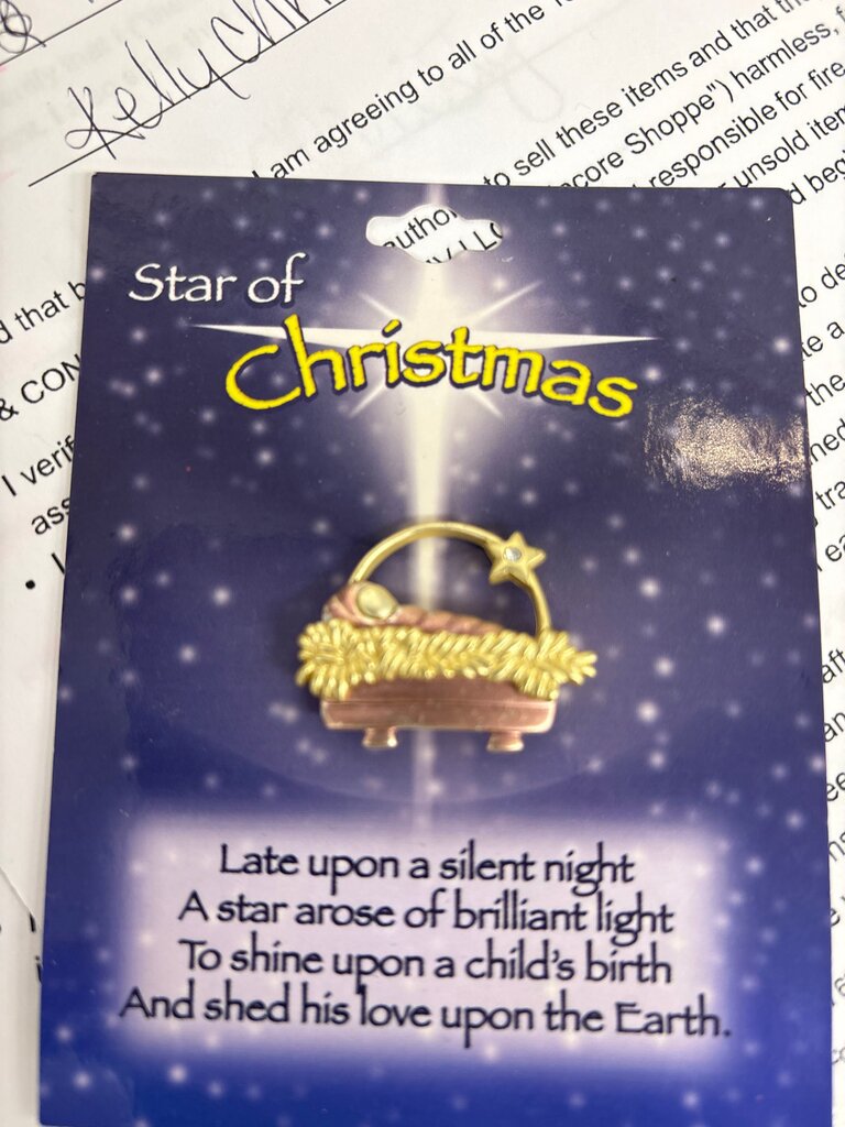 Star of Christmas Pin